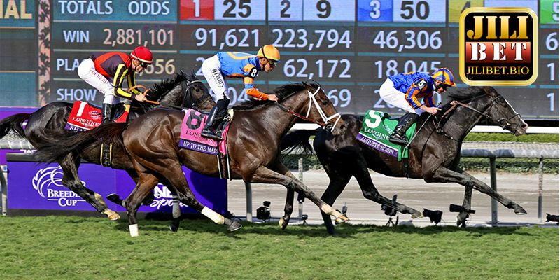 About horse racing betting