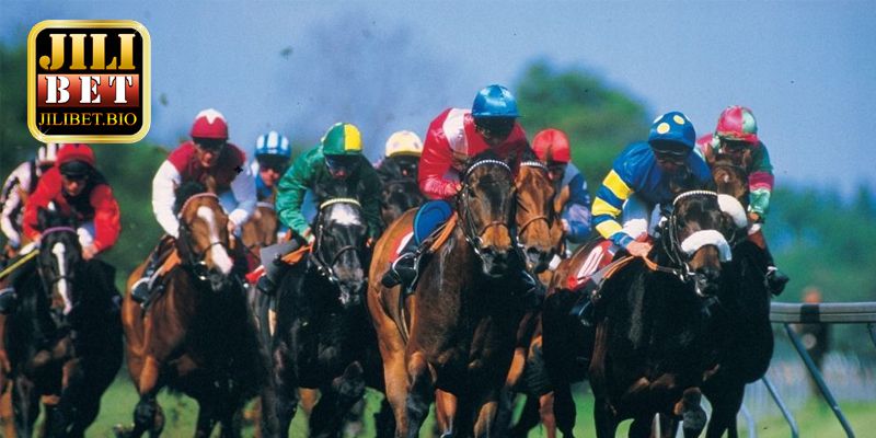 Skills in horse racing betting